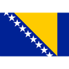 Bosnia badge
